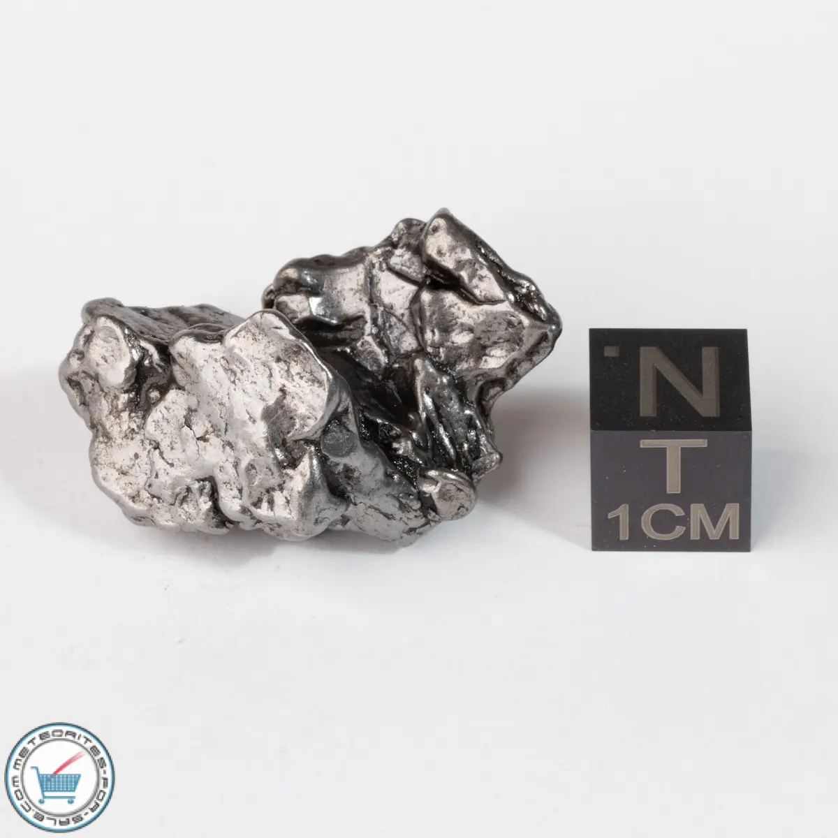 Campo del Cielo Meteorite Crystal 20.5g
