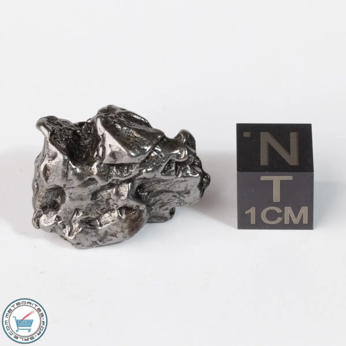 Campo del Cielo Meteorite Crystal 17.6g