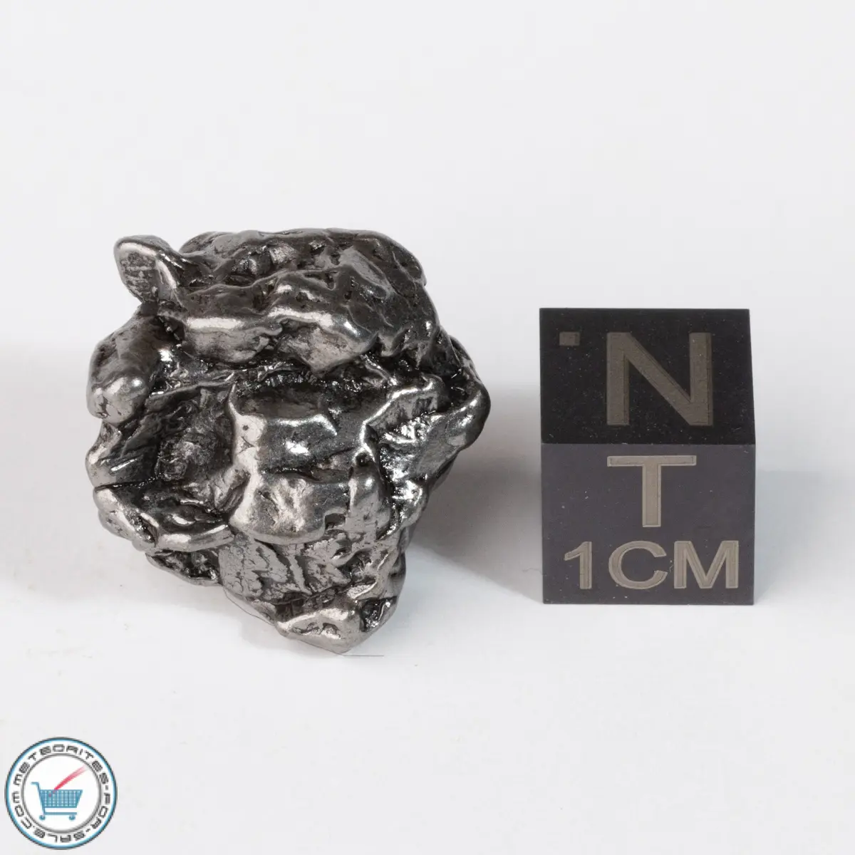 Campo del Cielo Meteorite Crystal 18.0g