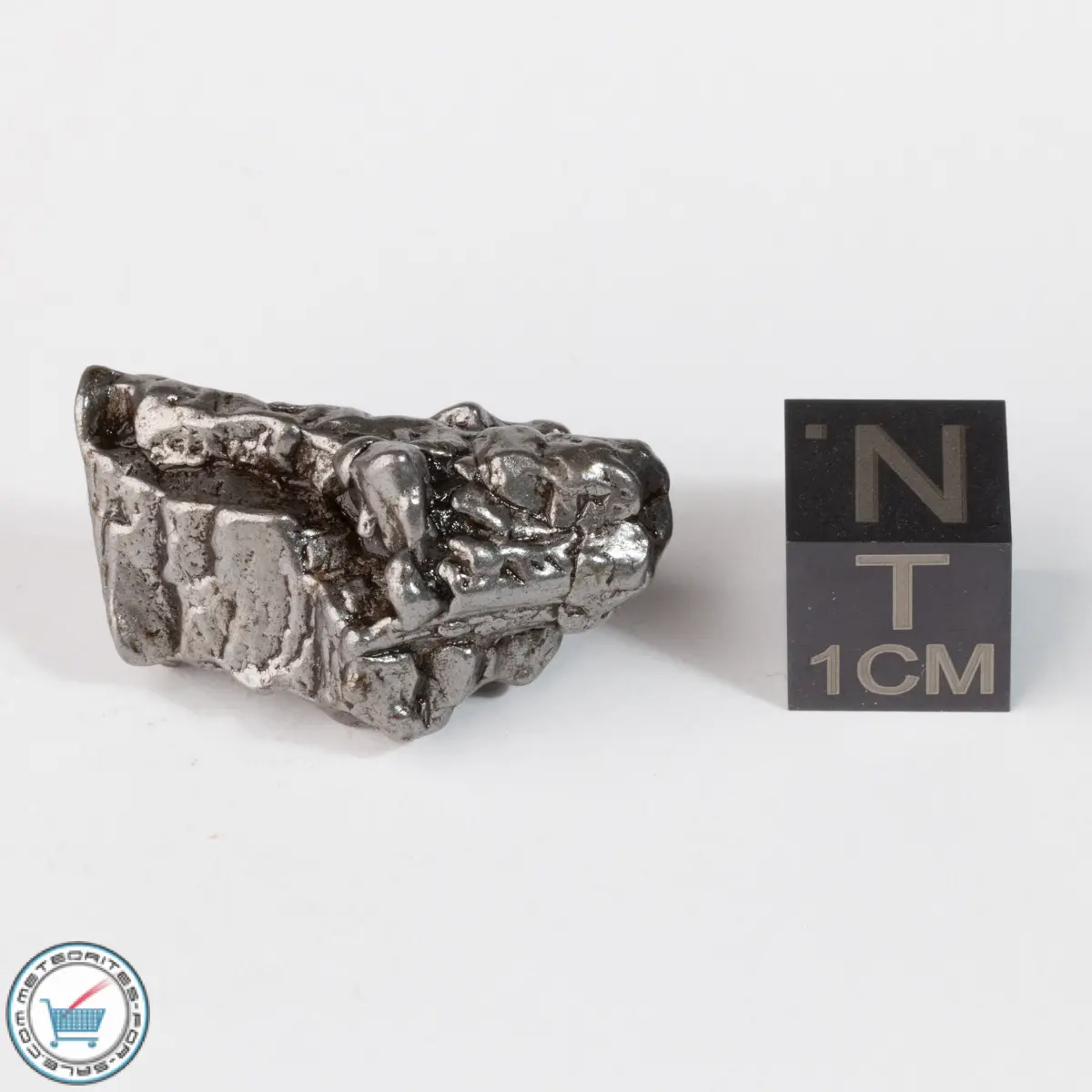 Campo del Cielo Meteorite Crystal 16.3g