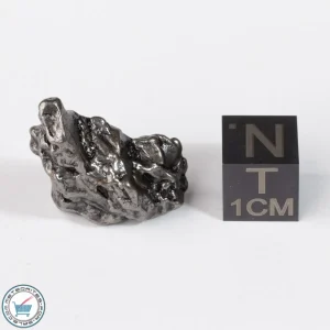 Campo del Cielo Meteorite Crystal 11.1g