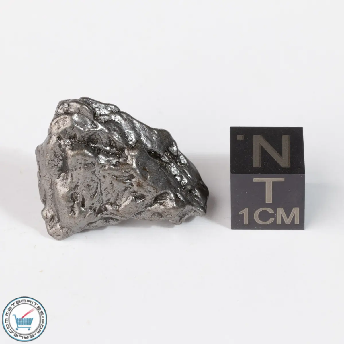 Campo del Cielo Meteorite Crystal 16.3g