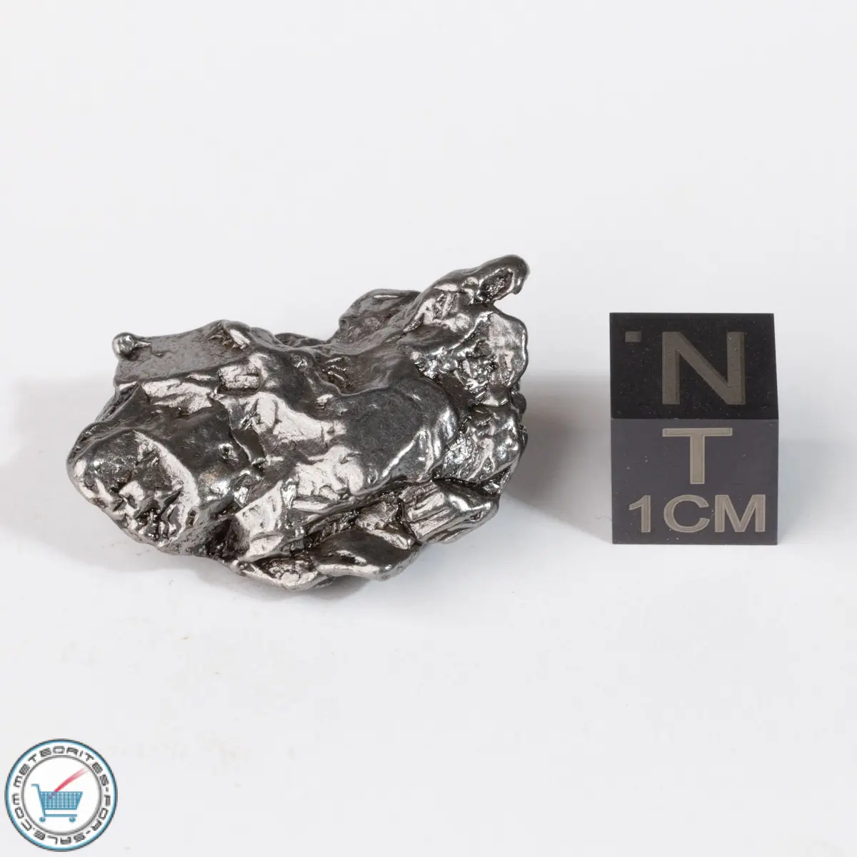 Campo del Cielo Meteorite Crystal 17.8g