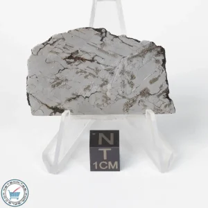 Canyon Diablo Meteorite 35.9g Slice