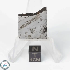 Canyon Diablo Meteorite 16.4g Slice