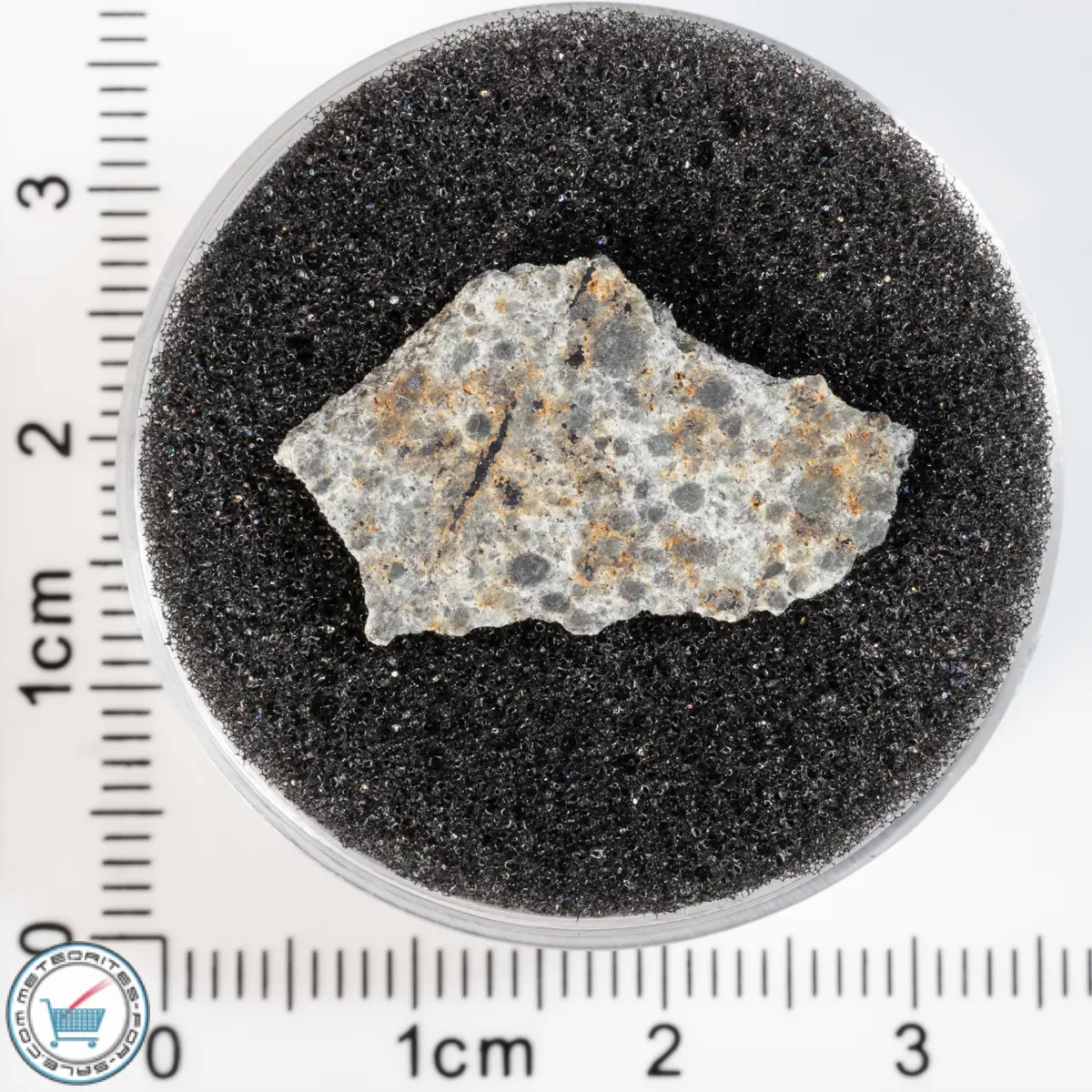 El Menia Meteorite 1.54g Slice