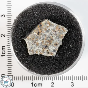 El Menia Meteorite 1.62g Slice