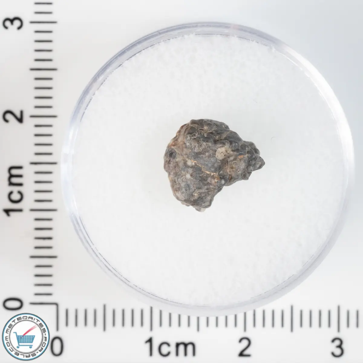 Laâyoune 002 Lunar Meteorite 0.53g