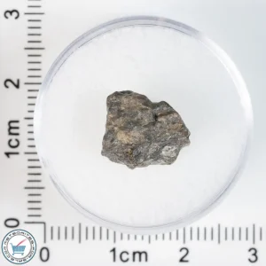 Laâyoune 002 Lunar Meteorite 1.02g