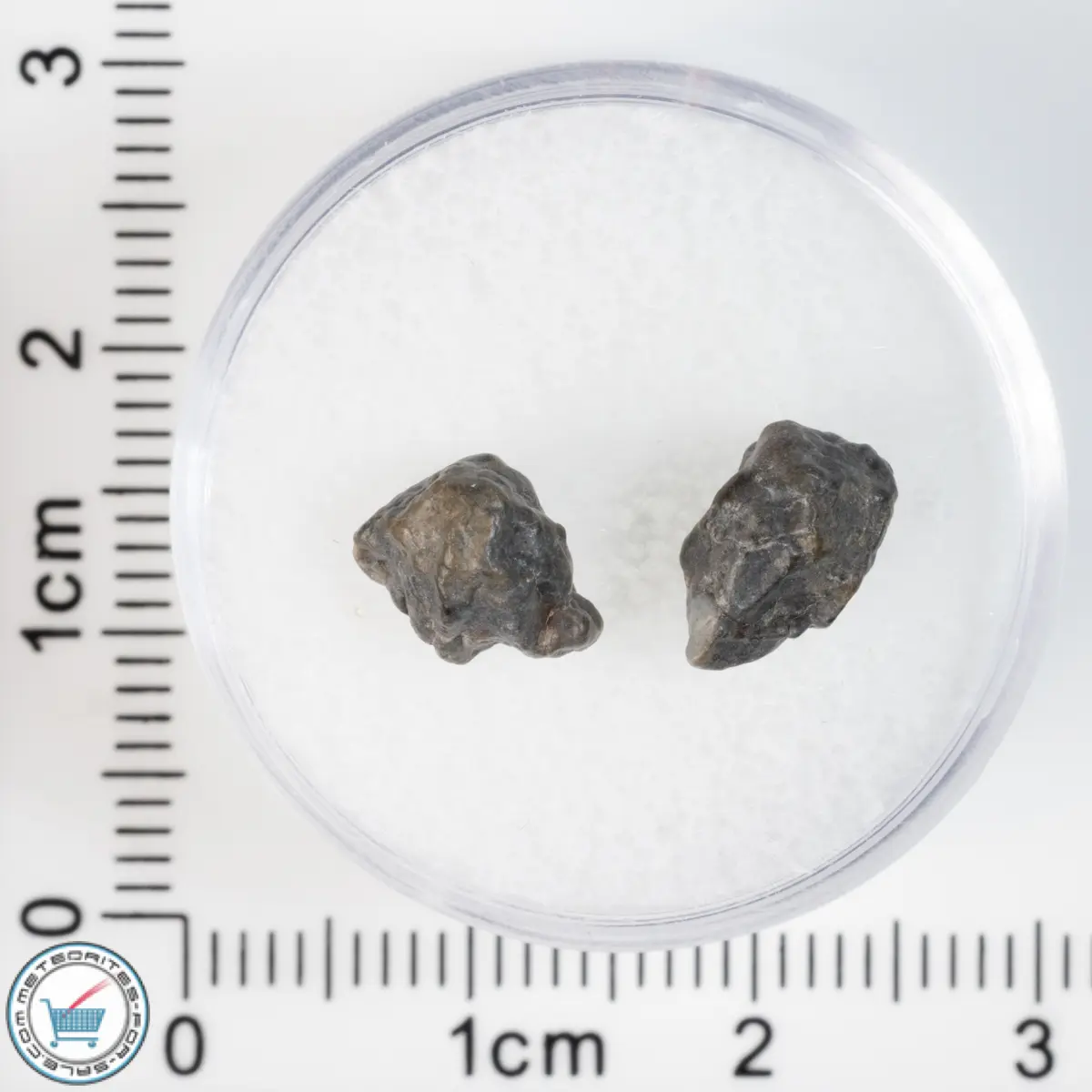 Laâyoune 002 Lunar Meteorite 0.64g