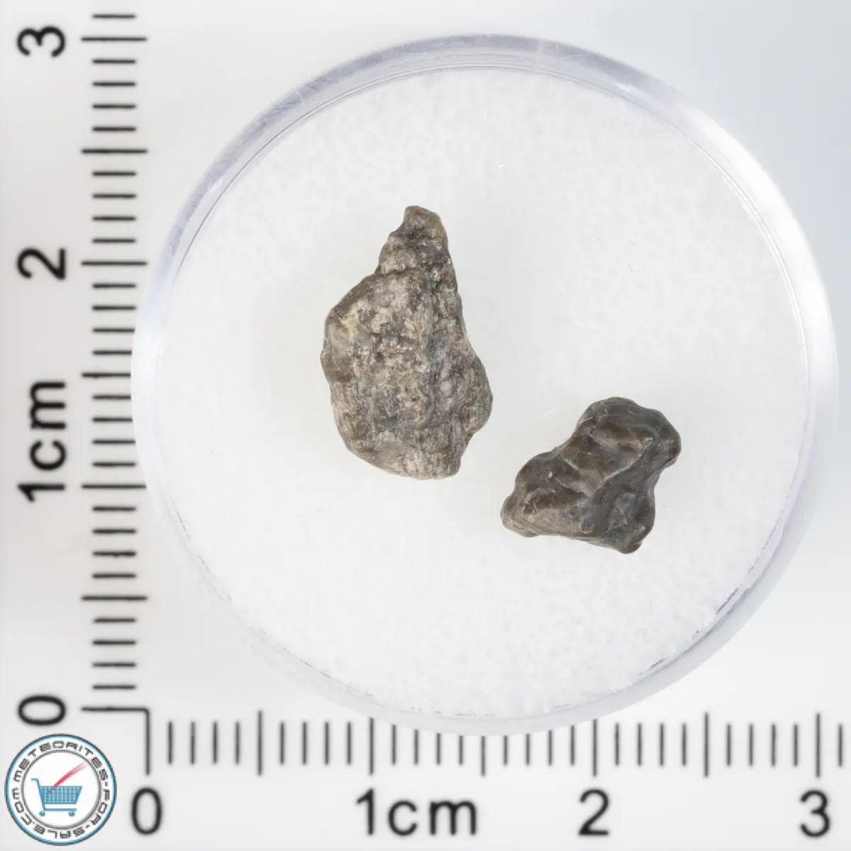 Laâyoune 002 Lunar Meteorite 0.56g
