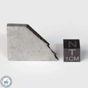 Muonionalusta Meteorite 17.1g Slice