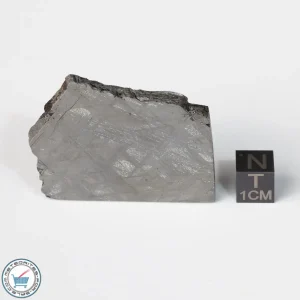 Muonionalusta Meteorite 62.4g Slice