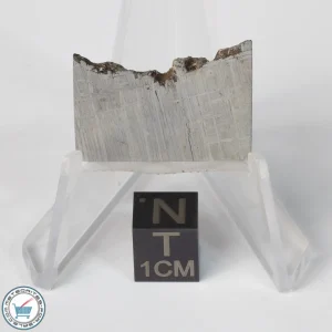 Muonionalusta Meteorite 7.2g Slice