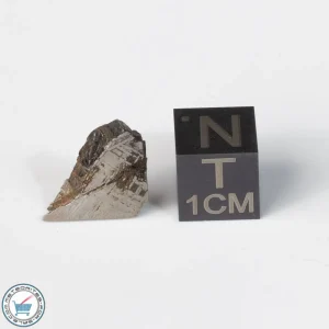 Muonionalusta Meteorite 2.1g End-cut