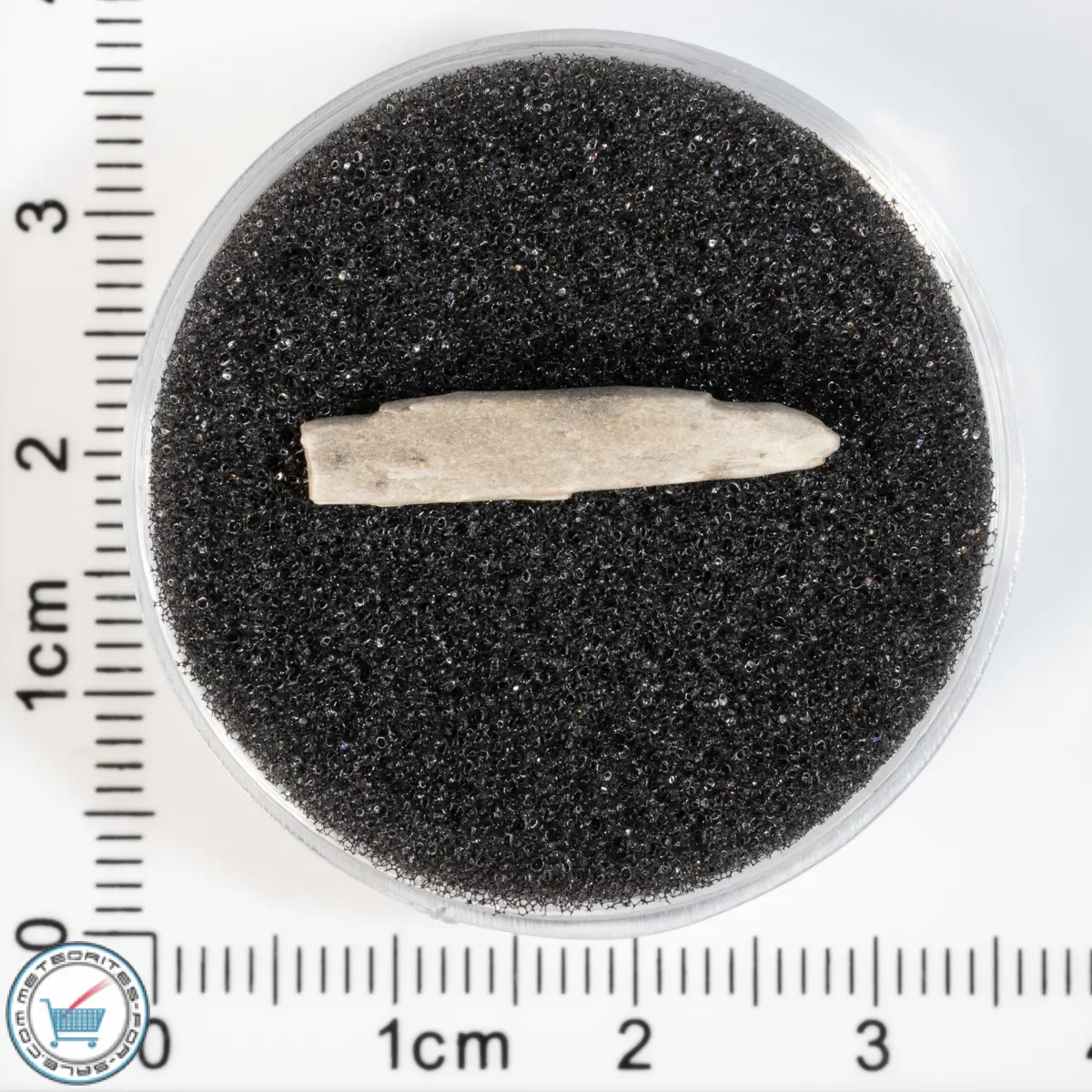 Sebkha el Melah 001 Meteorite 0.43g