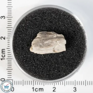 Sebkha el Melah 001 Meteorite 1.23g