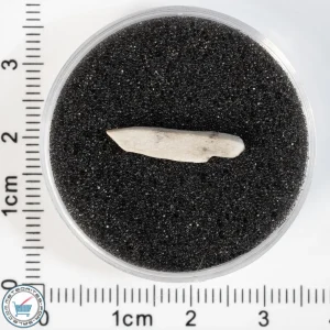 Sebkha el Melah 001 Meteorite 0.28g