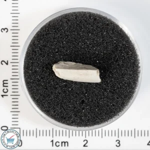 Sebkha el Melah 001 Meteorite 0.63g