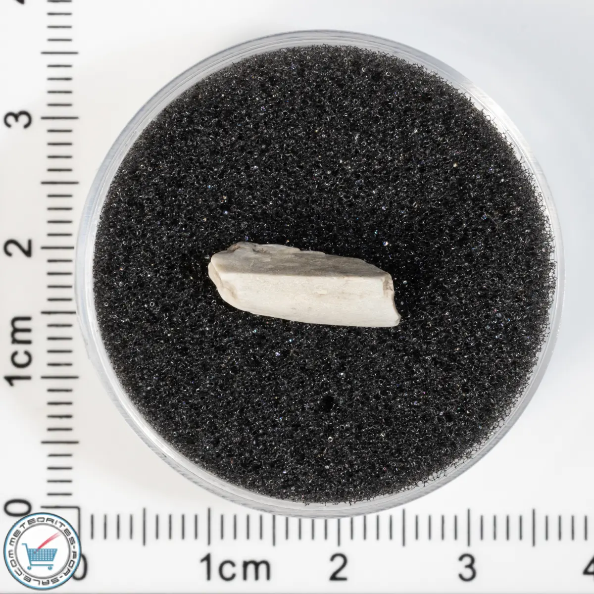 Sebkha el Melah 001 Meteorite 0.63g