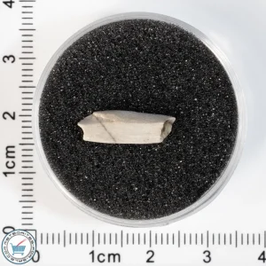 Sebkha el Melah 001 Meteorite 0.48g