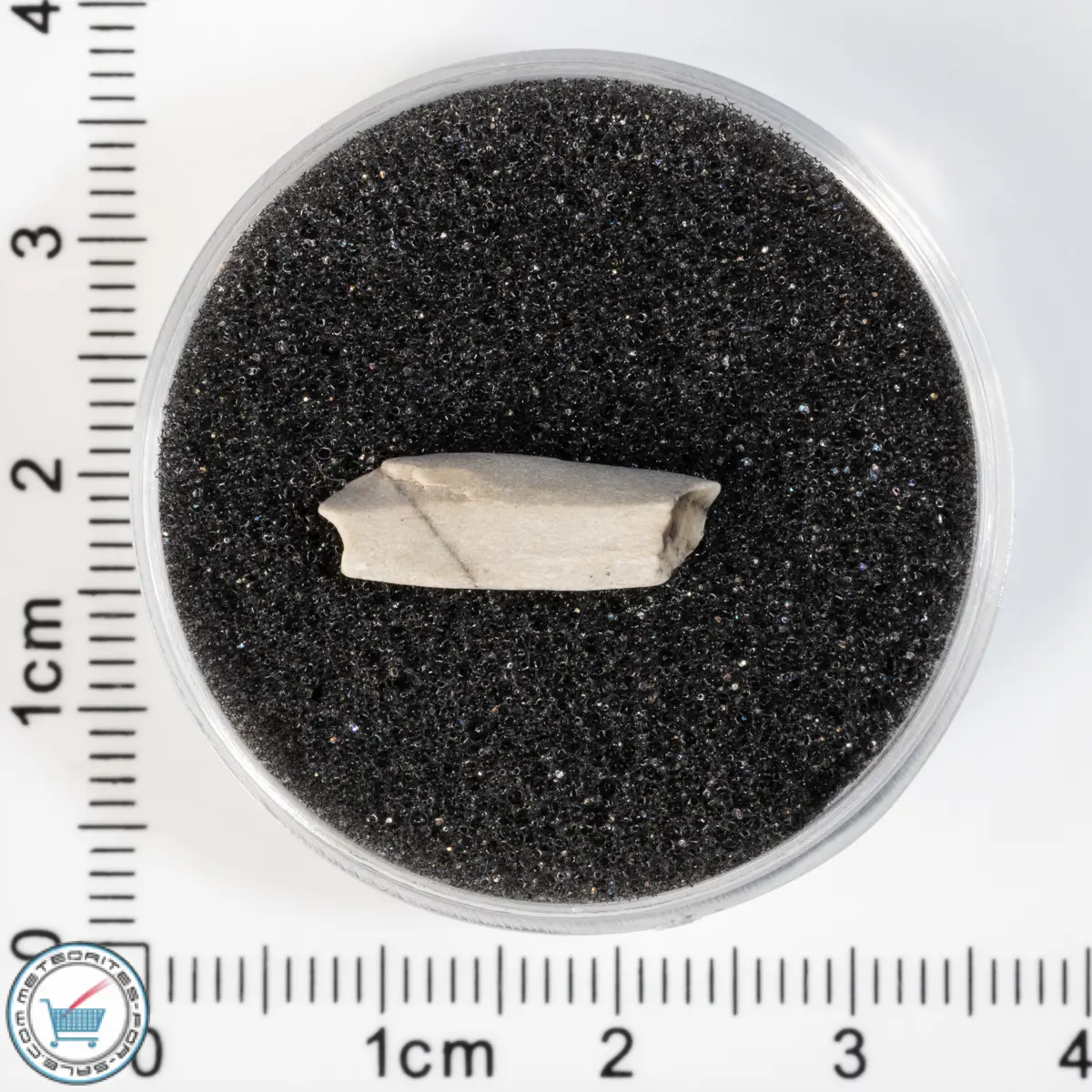 Sebkha el Melah 001 Meteorite 0.48g