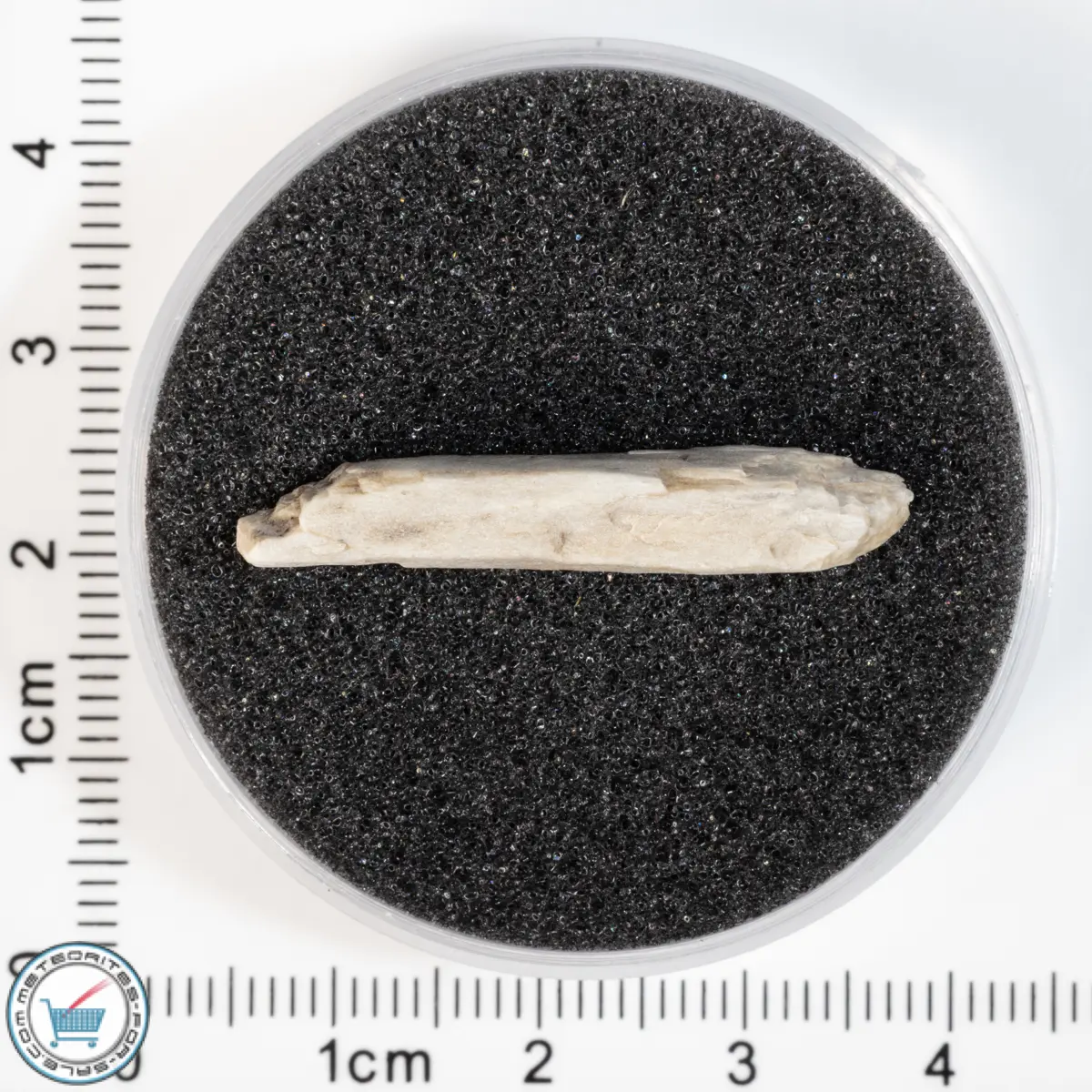 Sebkha el Melah 001 Meteorite 1.52g