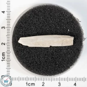 Sebkha el Melah 001 Meteorite 0.83g