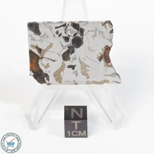 Seymchan Pallasite Meteorite 16.3g Slice