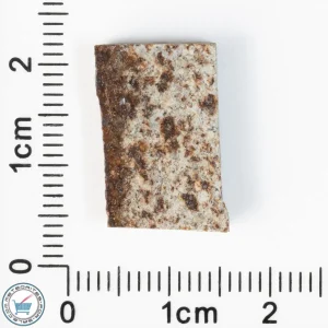 Tank Mountains Meteorite 2.0g Slice