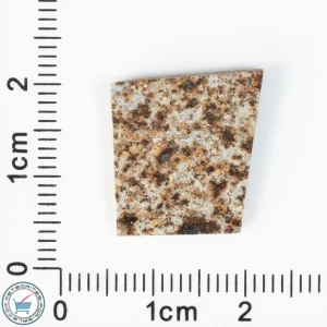 Tank Mountains Meteorite 1.53g Slice