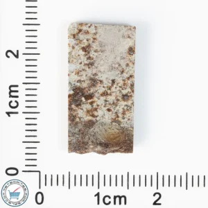 Tank Mountains Meteorite 1.68g Slice