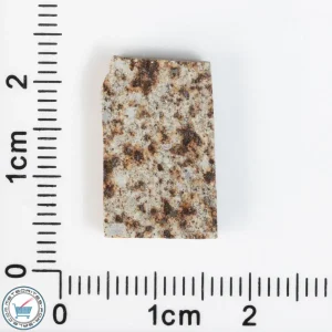 Tank Mountains Meteorite 2.01g Slice