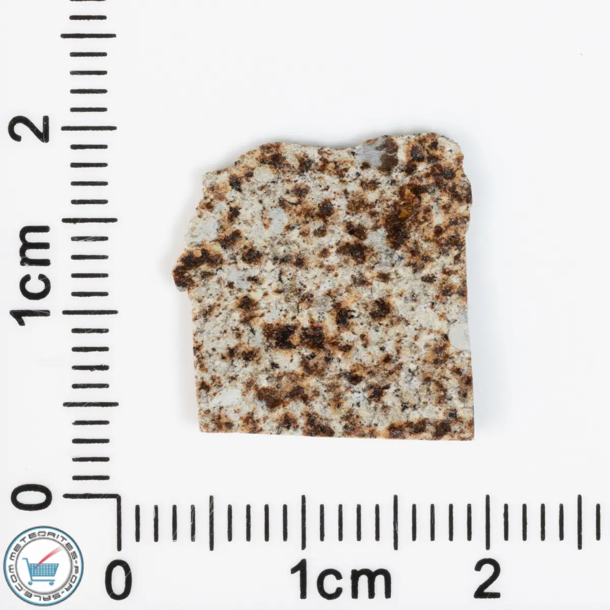 Tank Mountains Meteorite 0.54g Slice