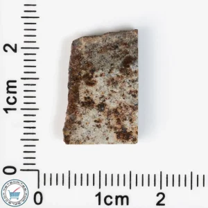 Tank Mountains Meteorite 1.40g Slice