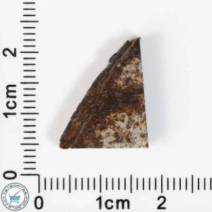 Tank Mountains Meteorite 1.43g Slice