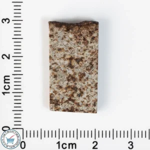 Tank Mountains Meteorite 2.90g Slice