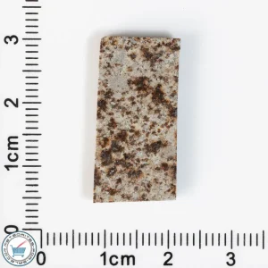 Tank Mountains Meteorite 2.62g Slice