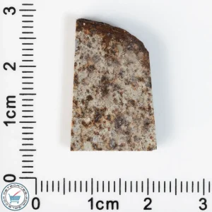 Tank Mountains Meteorite 2.62g Slice