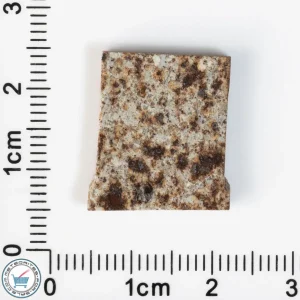 Tank Mountains Meteorite 2.73g Slice