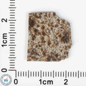 Tank Mountains Meteorite 0.90g Slice