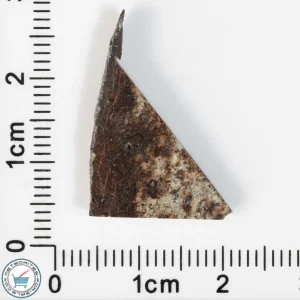 Tank Mountains Meteorite 1.53g Slice