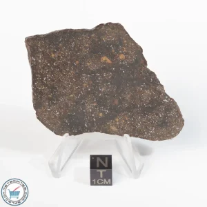 Premium Unclassified Meteorite 31.2g Slice