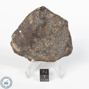 Premium Unclassified Meteorite 43.1g Slice