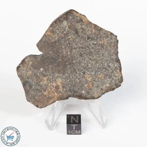 Premium Unclassified Meteorite 40.9g Slice