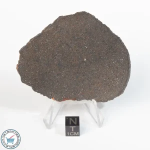Premium Unclassified Meteorite 46.4g Slice