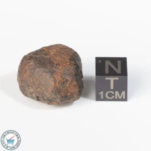 UNWA Meteorite Stone 11.3g