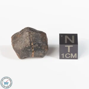 UNWA Meteorite Stone 8.5g