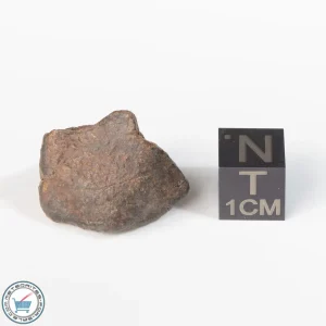 UNWA Meteorite Stone 8.6g