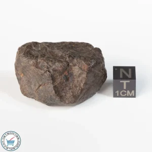 UNWA Meteorite Stone 35.2g